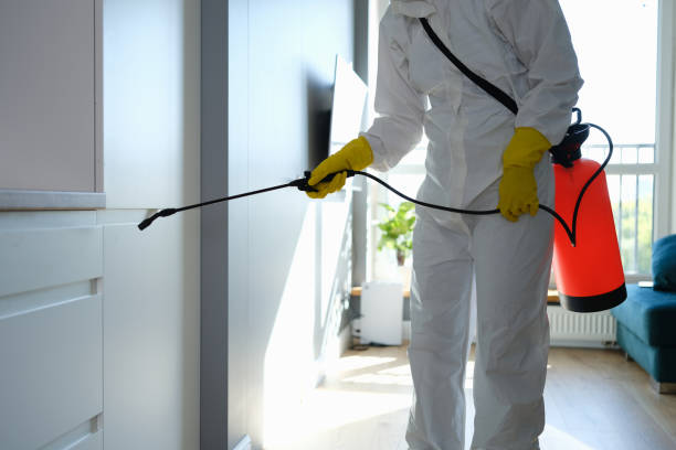 Why You Should Choose Our Mold Remediation Services in South River, NM